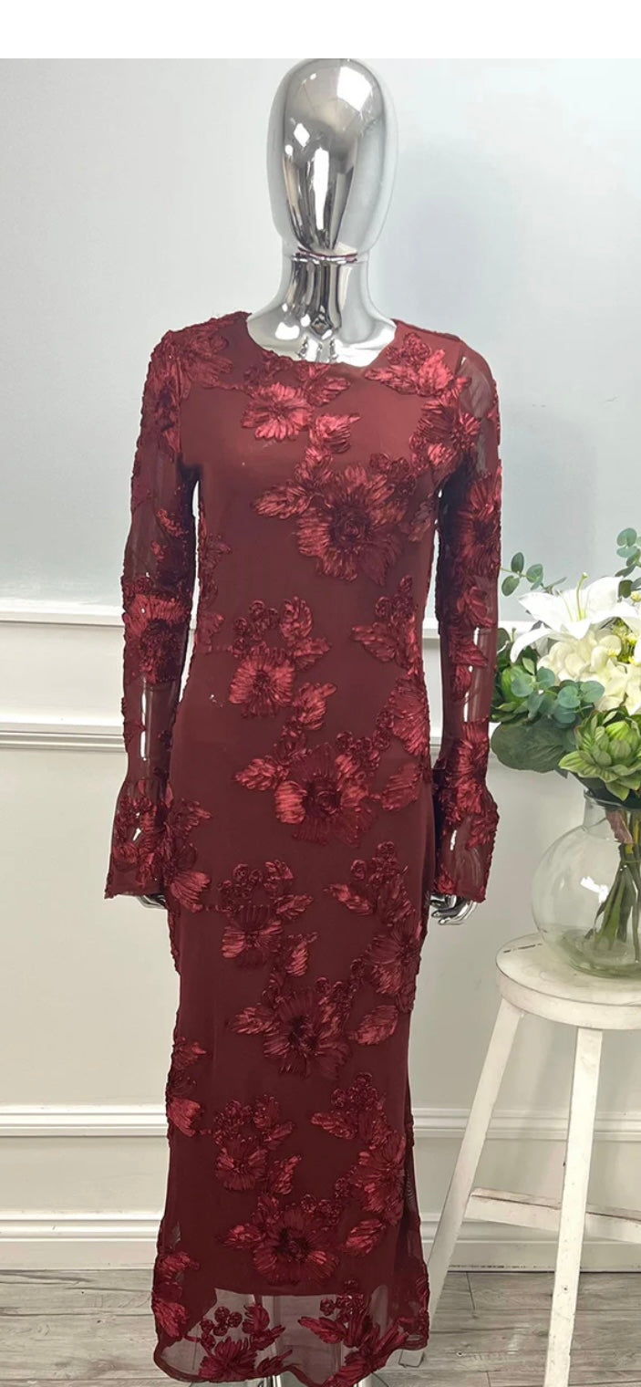 Long Sleeve Mesh Dress